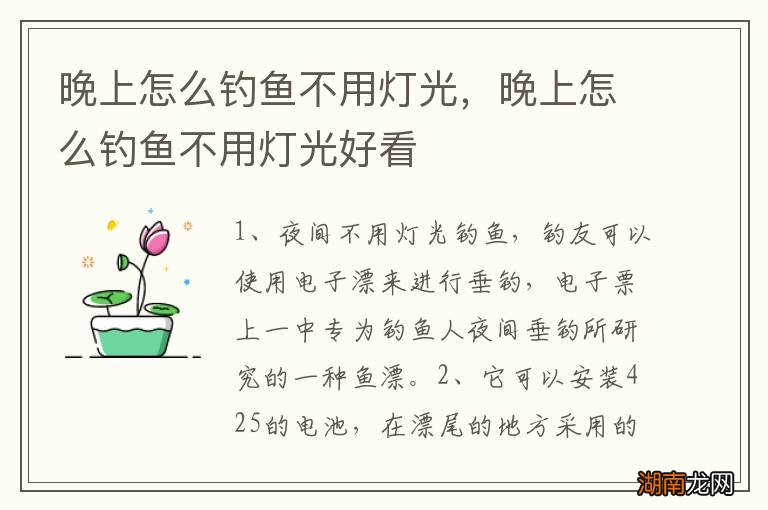晚上怎么钓鱼不用灯光，晚上怎么钓鱼不用灯光好看