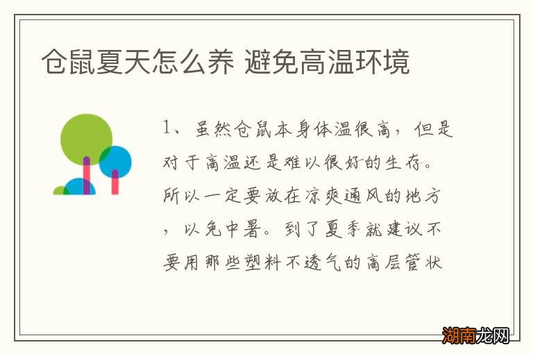 仓鼠夏天怎么养 避免高温环境