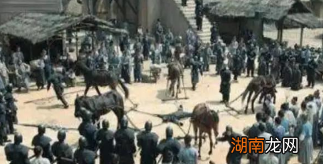 既然皇帝要下令诛杀九族 被诛九族的那些人为什么不跑