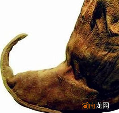 古代的鞋头为什么都是往上翘 古人为什么对翘头鞋情有独钟