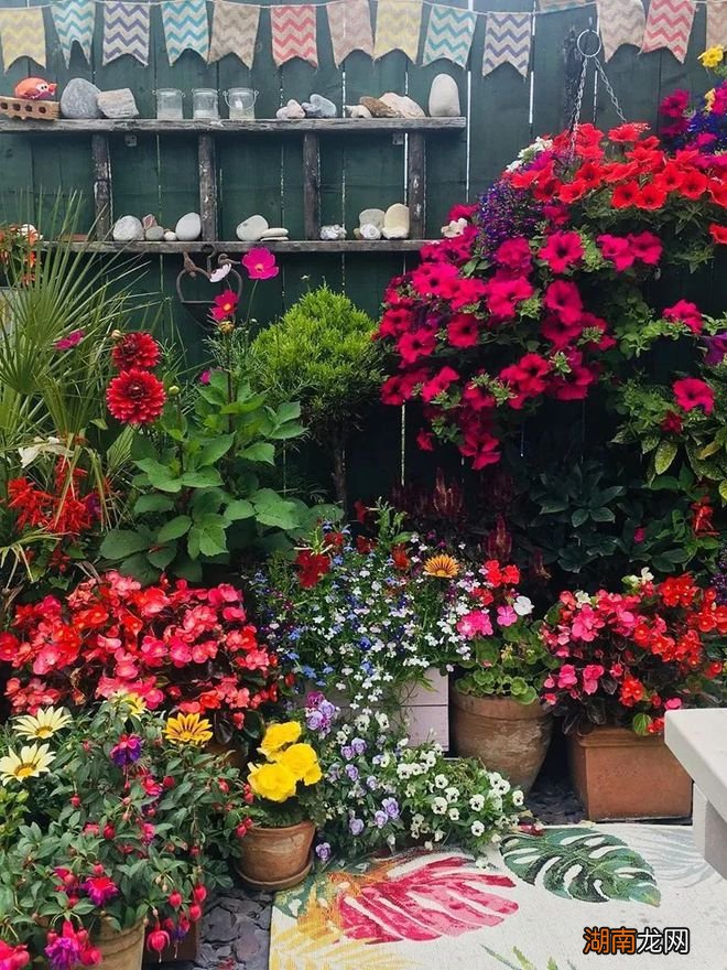 绿植租赁 | 让人心旷神怡的视觉盛宴