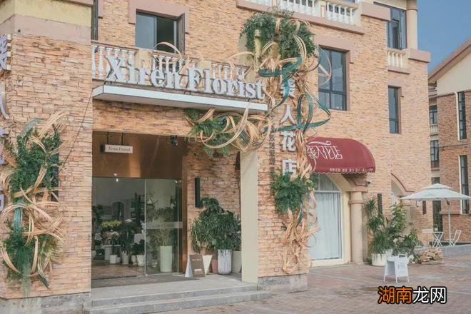 绿植租赁 | 让人心旷神怡的视觉盛宴