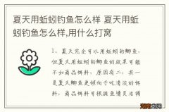 夏天用蚯蚓钓鱼怎么样 夏天用蚯蚓钓鱼怎么样,用什么打窝