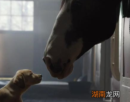 古代入住酒店需要什么 真的有电视剧演的那么齐全吗