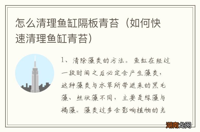 如何快速清理鱼缸青苔 怎么清理鱼缸隔板青苔