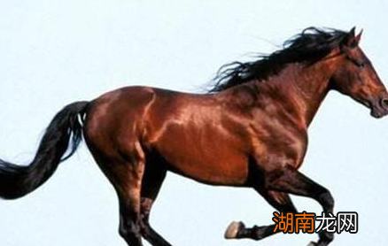 吕布死后关羽真的骑赤兔马上战场？真相却不是这样的