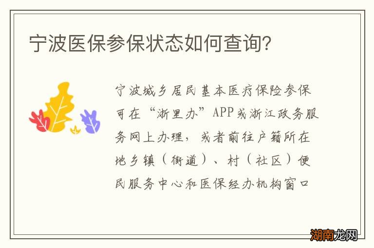 宁波医保参保状态如何查询?