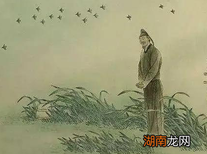 杜甫一生为什么都是贫困潦倒 最根本的原因出在什么地方