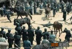 古代诛九族为什么没有人选择逃跑 谁傻谁先跑