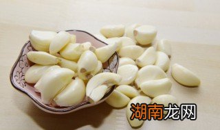 猫咪可不可以吃鲜姜蒜 猫咪可不可以吃鲜姜蒜葱