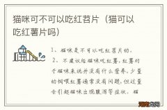猫可以吃红薯片吗 猫咪可不可以吃红苕片