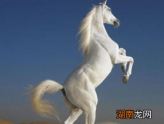 凡是骑过的卢马的人都死了 为何只有刘备是一个例外