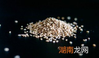 猫咪可不可以吃白芝麻 猫咪可不可以吃白芝麻粉