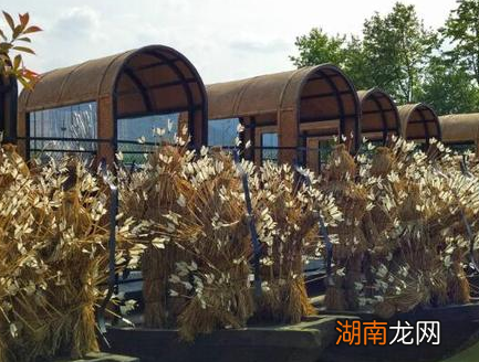 诸葛亮草船借箭曹操为什么不用火箭 火箭出现整整晚了20年的时间