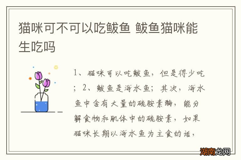 猫咪可不可以吃鲅鱼 鲅鱼猫咪能生吃吗