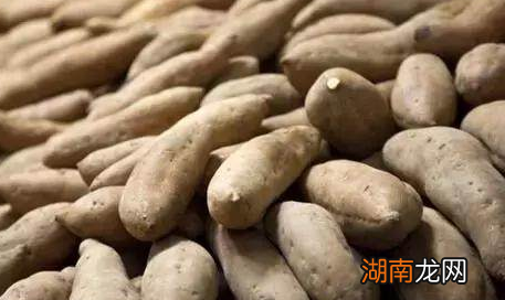 古代百姓的主食都吃什么 古人难不成也吃大米吗