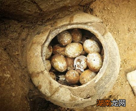 古人为什么会在自己的墓中放置鸡蛋 为何考古人员最害怕见到鸡蛋