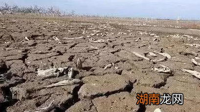 古代闹饥荒为何不去捕鱼打猎 是因为完全不可能