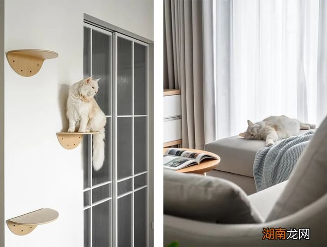 装修 灵感 | 83㎡住2人4猫,简单的日式无印风美炸了