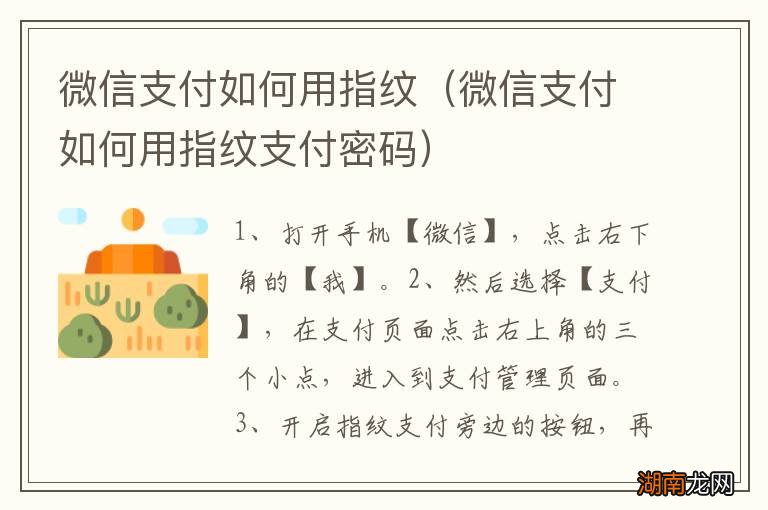 微信支付如何用指纹支付密码 微信支付如何用指纹