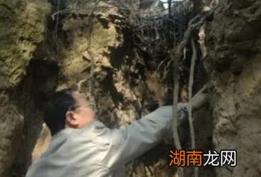 秦始皇嬴政的祖籍在哪里？是秦国的起源地甘肃吗？