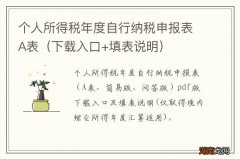 下载入口+填表说明 个人所得税年度自行纳税申报表A表