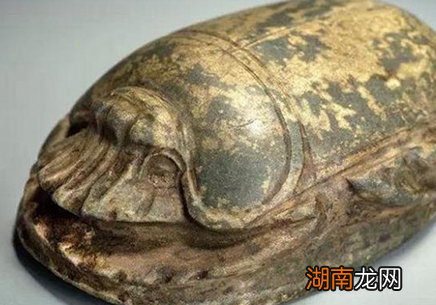 圣甲虫在古埃及真的存在吗 圣甲虫到底是什么样的虫子