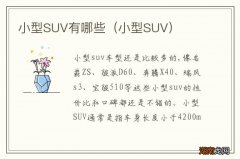 小型SUV 小型SUV有哪些