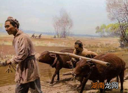 古代地广人稀 古人粮食不够吃为何不去开荒