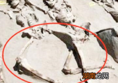 揭秘古代妃子殉葬之谜 妃子死后的双腿为何都是分开的
