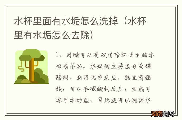 水杯里有水垢怎么去除 水杯里面有水垢怎么洗掉