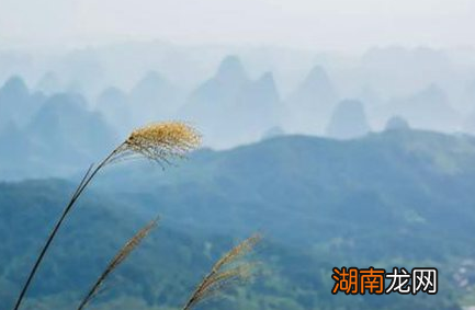 春秋时期鼎盛时期的宋国国力有多强 宋国为何不是战国七雄之一