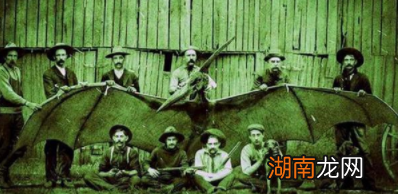 人类和恐龙共存过吗?翼龙是什么时候灭绝的?