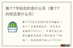 像个T的标志是什么车 像个T字标志的是什么车