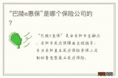 “巴陵e惠保”是哪个保险公司的？