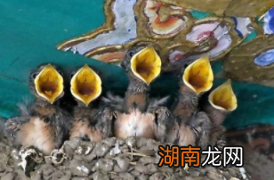 明朝灭亡时有多强大？没有清军明朝会灭吗？