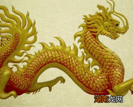 古代真的有龙存在吗 夏朝有人养过龙是不是真的