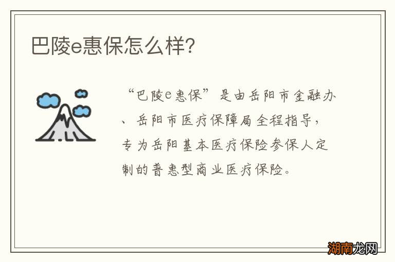 巴陵e惠保怎么样？