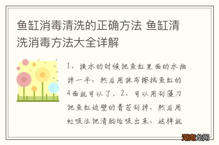 鱼缸消毒清洗的正确方法 鱼缸清洗消毒方法大全详解
