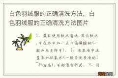 白色羽绒服的正确清洗方法，白色羽绒服的正确清洗方法图片