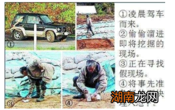 一场匪夷所思的考古!最后的真相是什么?