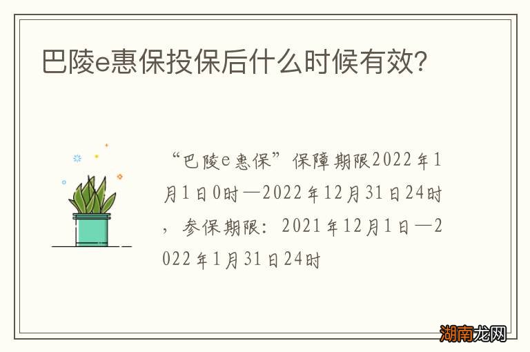巴陵e惠保投保后什么时候有效？