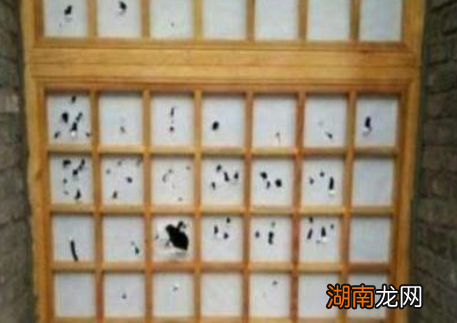 古代窗户都是用纸做的 难道古人就不怕下雨天吗