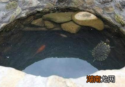 古人打井的时候为什么将两只乌龟放到水里 这里面到底有着什么样的传说