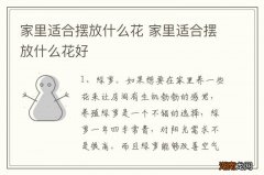 家里适合摆放什么花 家里适合摆放什么花好