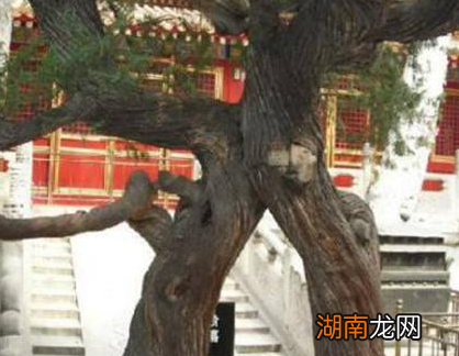 盘点故宫几个最可怕的地方 寿康宫闹鬼事件是真的假的