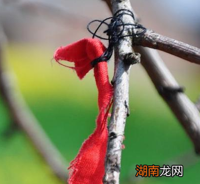 揭秘古代中国过年民俗 忌门为什么禁忌外姓妇女入门