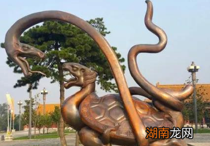 古人打水井的时候 为什么要在水中放两只乌龟