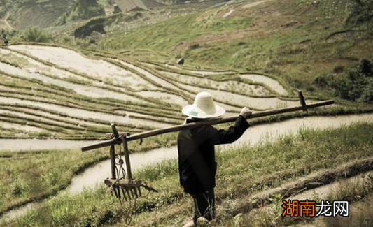 封建时代大量荒地不开垦，农民为何不去开垦荒地要去造反？