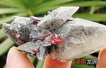 古代砒霜到底是什么样的 砒霜真的能直接见血封喉吗